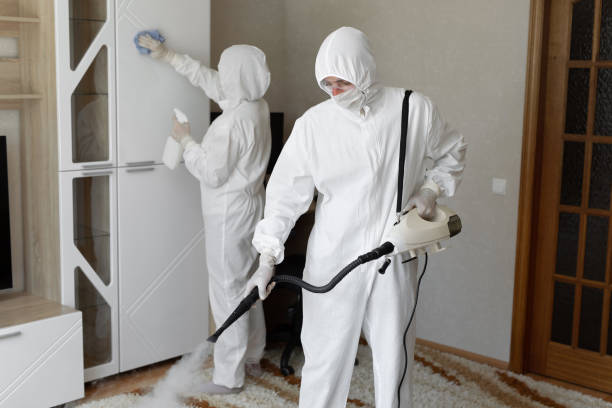 Best Commercial Mold Removal  in Rancho Alegre, TX