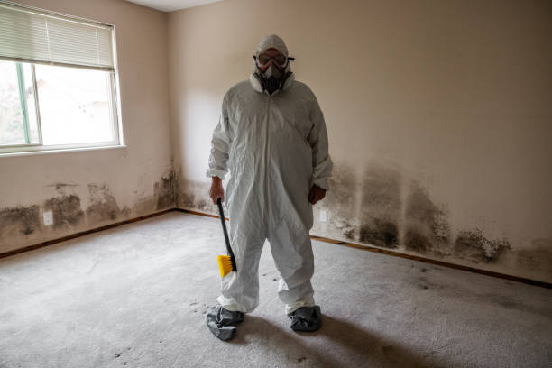 Best Mold Removal Near Me  in Rancho Alegre, TX